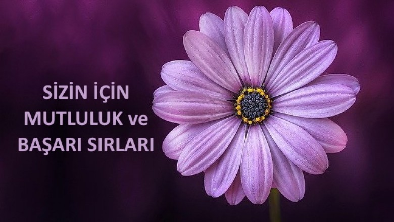 BAŞARILI OLMANIN SIRLARI AÇIKLANDI